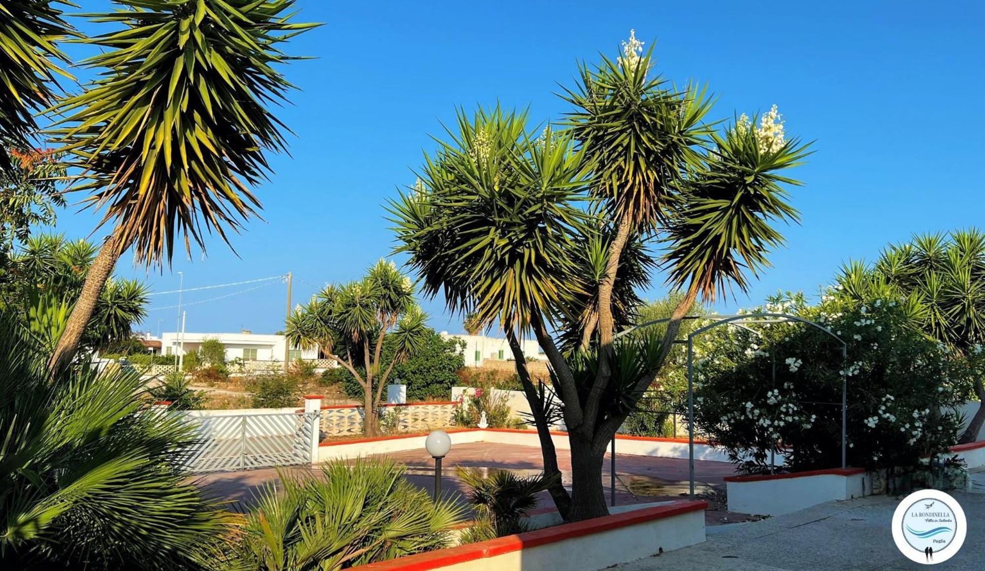 Villa La Rondinella - Torre San Giovanni Luaran gambar