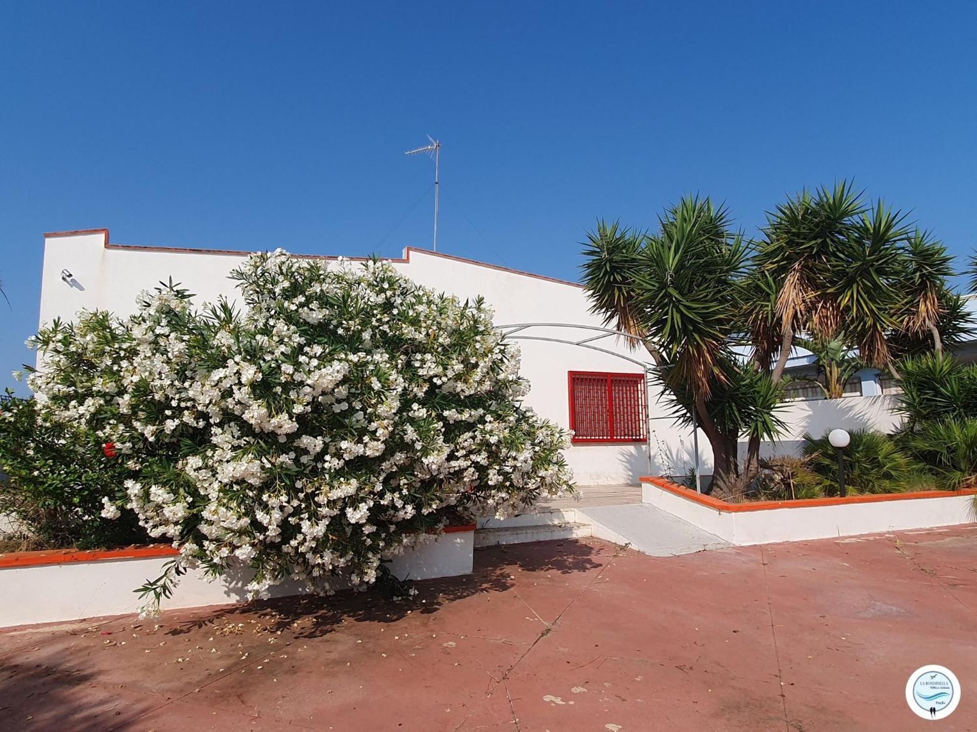 Villa La Rondinella - Torre San Giovanni Luaran gambar